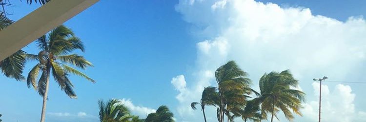 TeamBGMFK's profile banner image