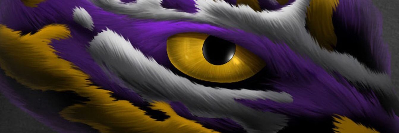 Swampmiller's profile banner image