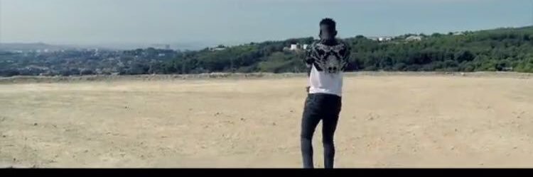 ElPatraosDesPatraos banner