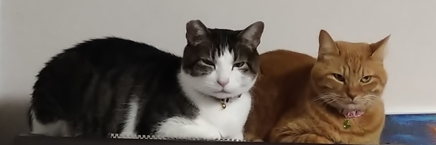 chappilucky88's profile banner image