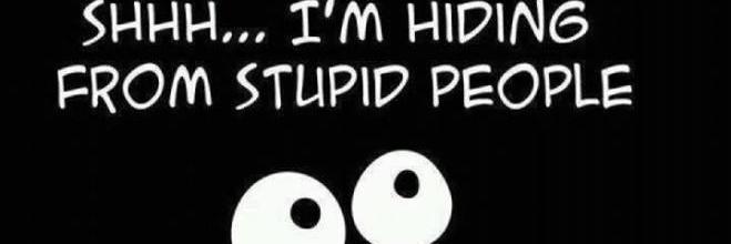 TiggerPooh01's profile banner image