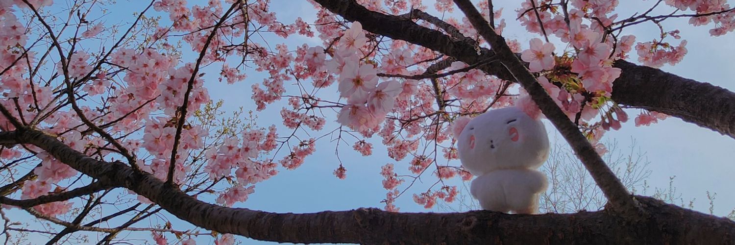 밤바다's banner