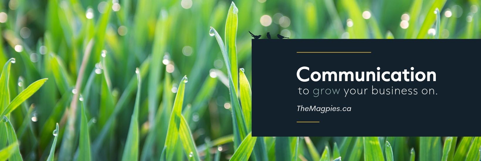 The Magpie Group banner