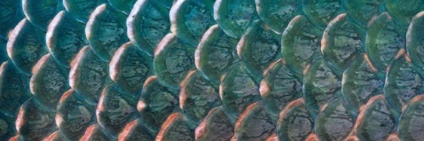 ivsol's profile banner image