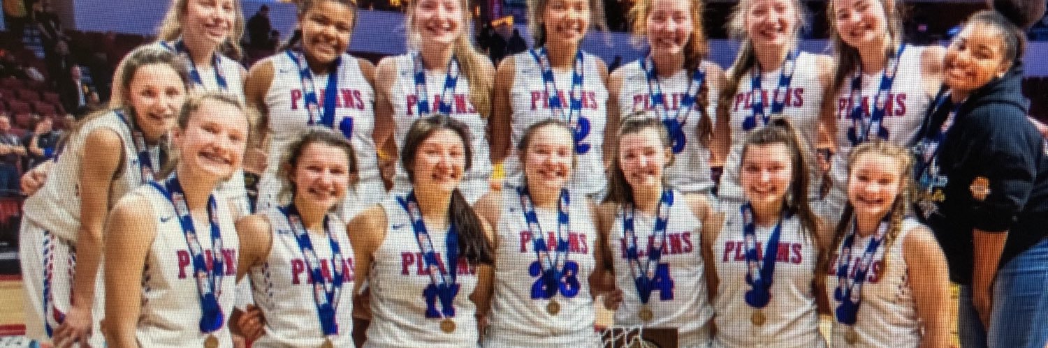 Pleasant Plains CUSD#8 banner