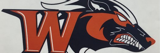 Rachel W Wright banner