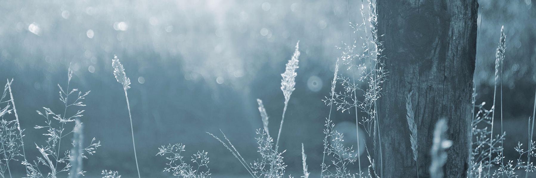 jaredhinautan's profile banner image