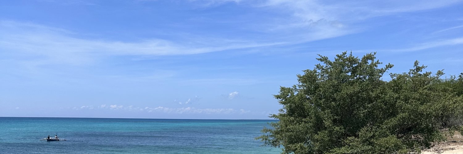 teeandborgirs's profile banner image