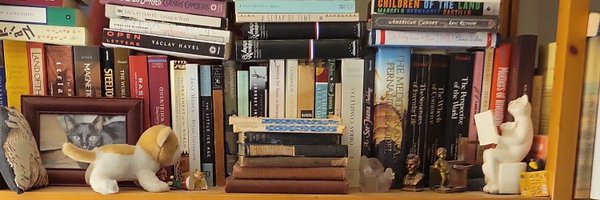 Tejanarusa Profile Banner