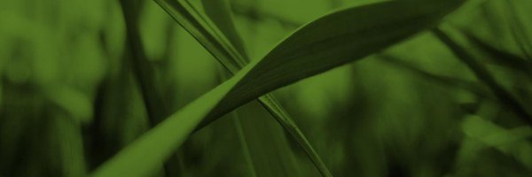 fibgar_ Profile Banner