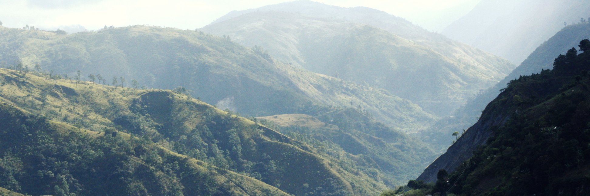 ILobosAlva's profile banner image