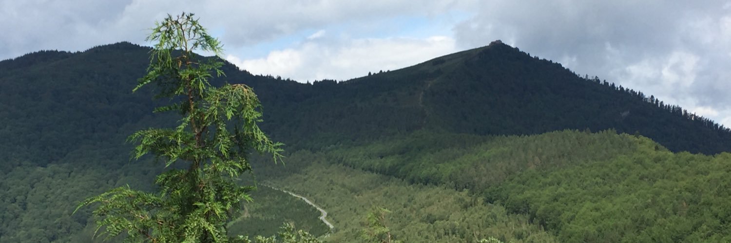 Humbersareak's profile banner image