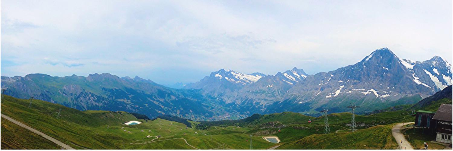 G Wolf (Wolf_Science) banner