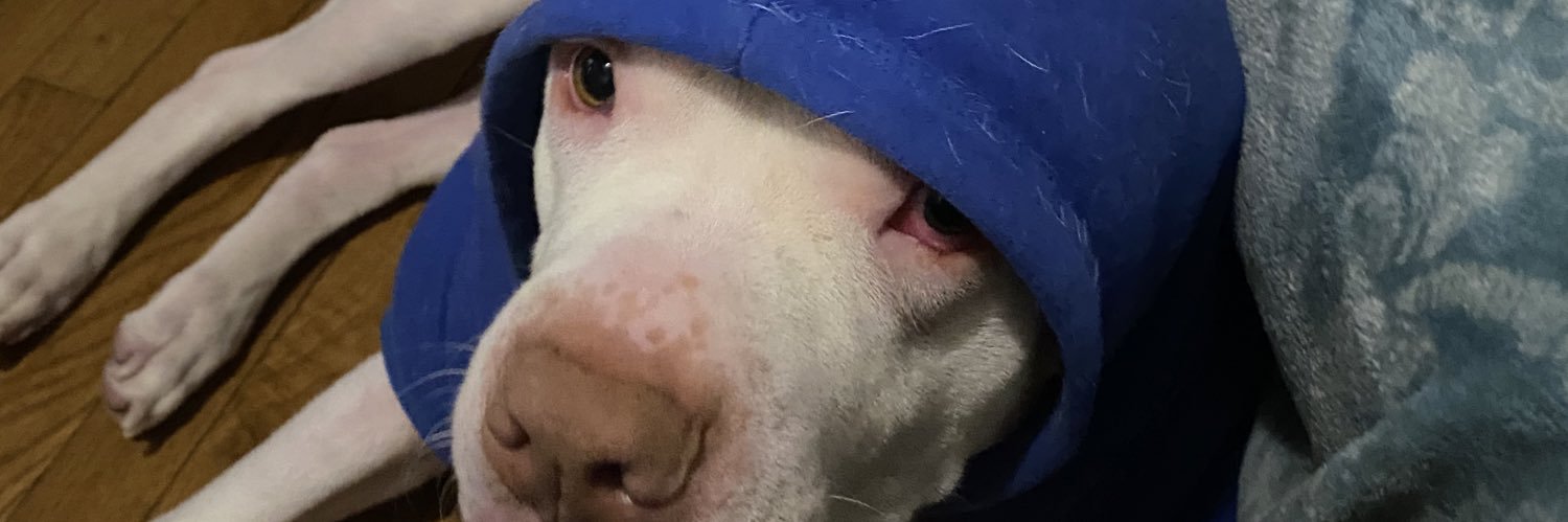 kingrel13's profile banner image