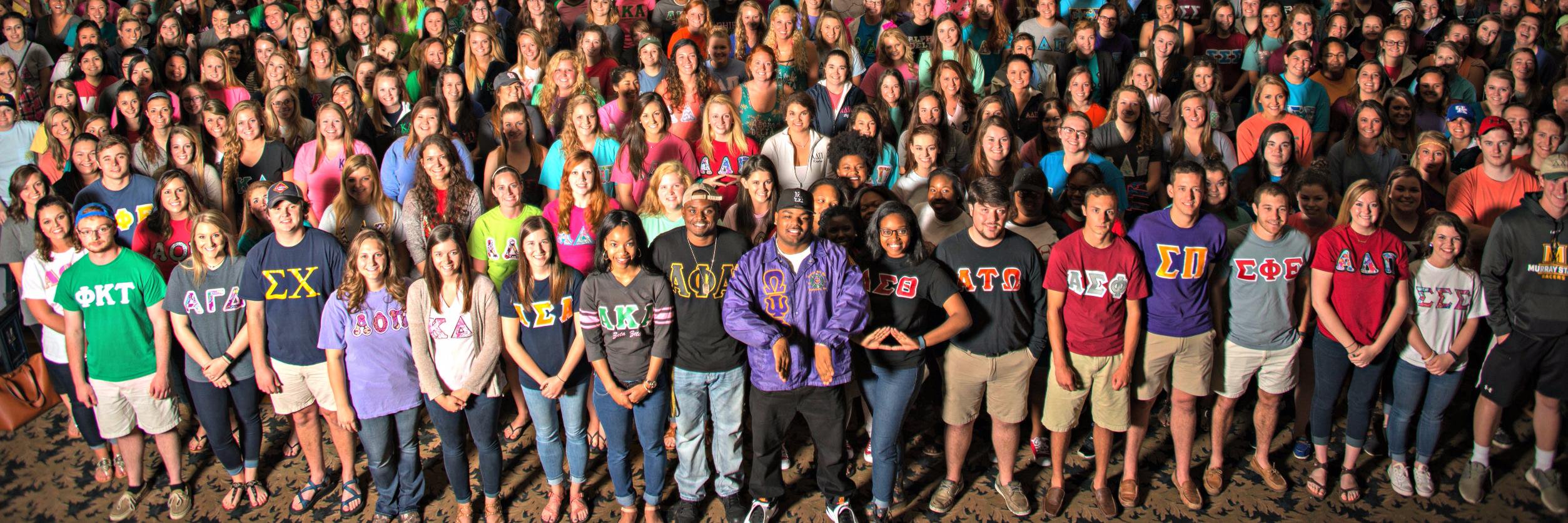 MSU Greek Life banner