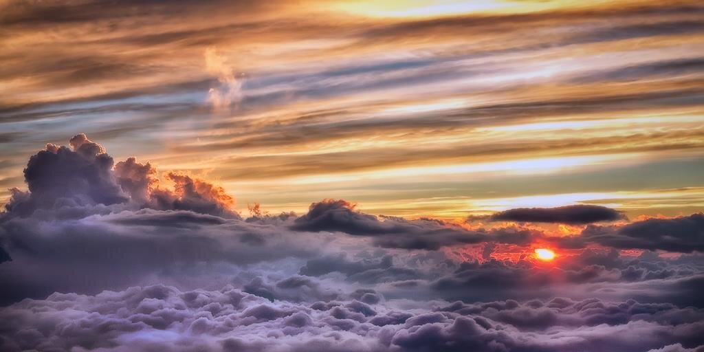 newelly54's profile banner image