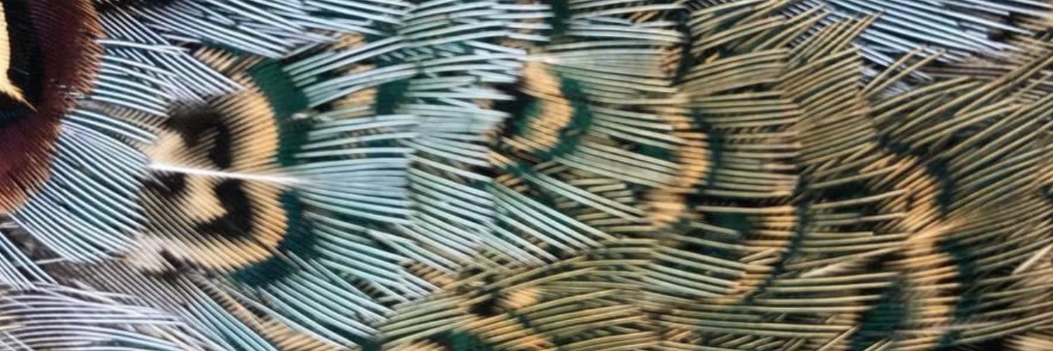 Steve_Horan's profile banner image