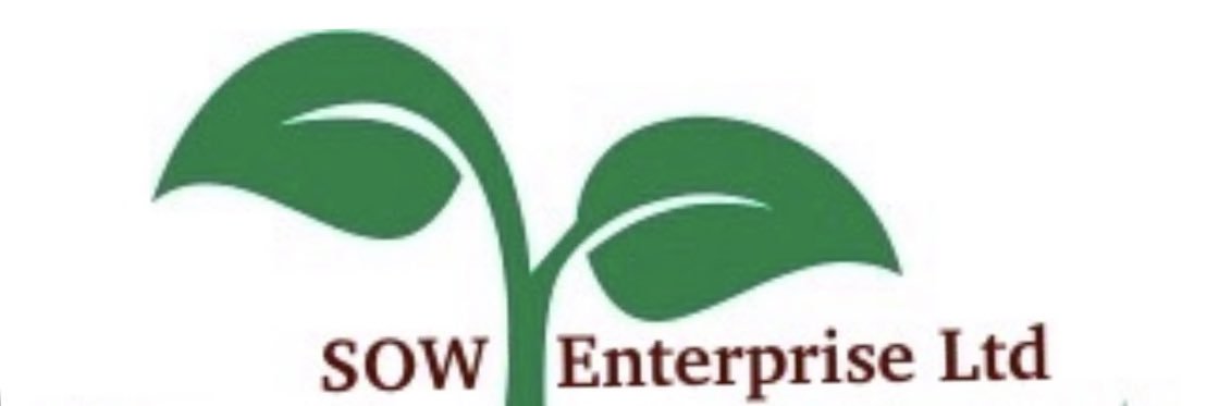 Patricia Wright banner