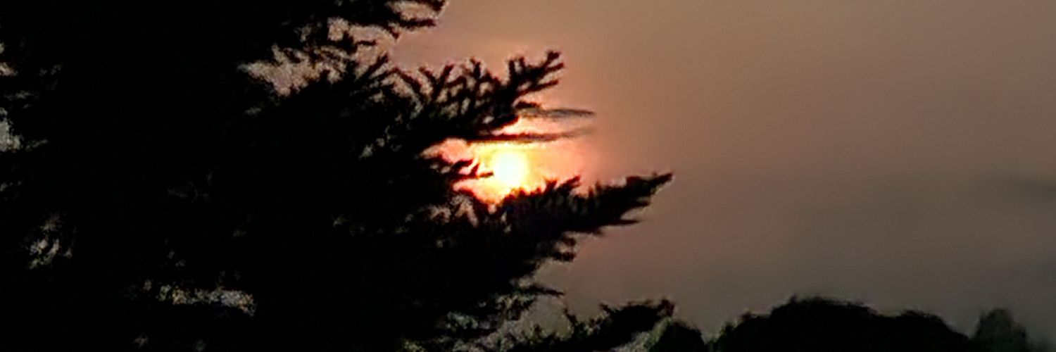 bballTJK's profile banner image