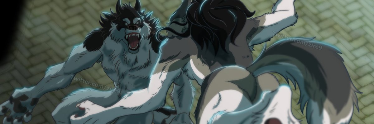 zire9's profile banner image