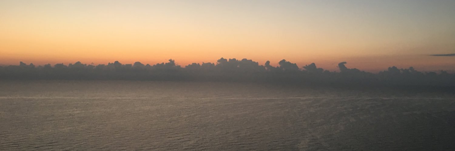 Bolan Schmelty banner