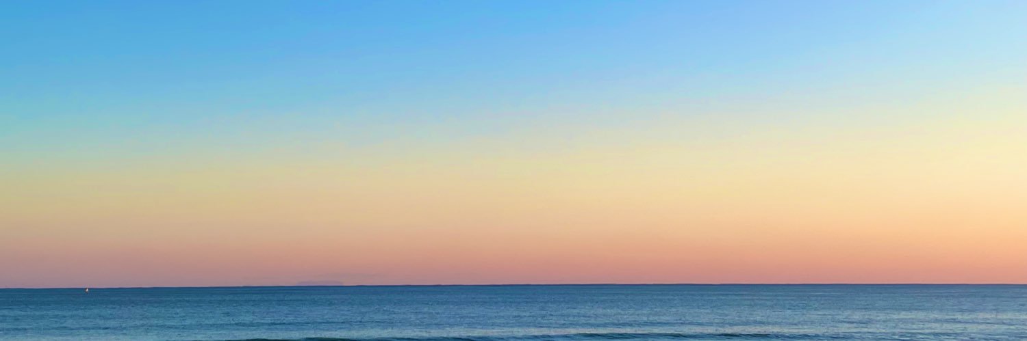 모나 🦊🍃 banner