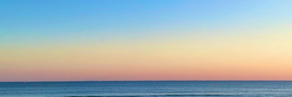 rillkisakura Profile Banner