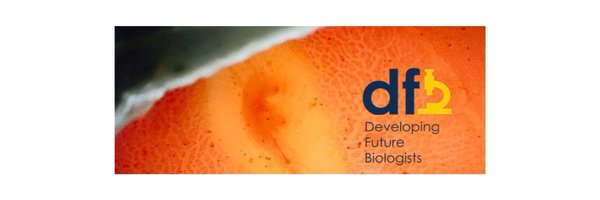 DFB_UM Profile Banner