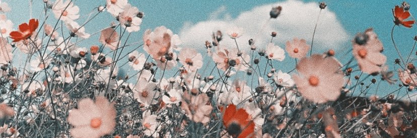 hazvanity's profile banner image