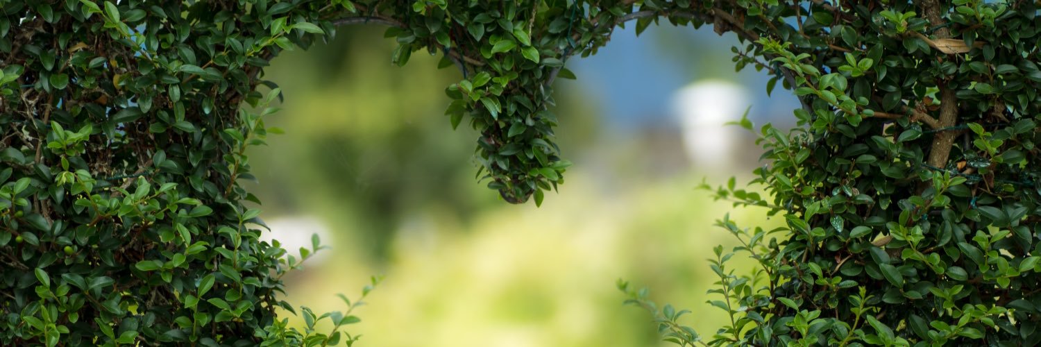 CeCe_Martin's profile banner image