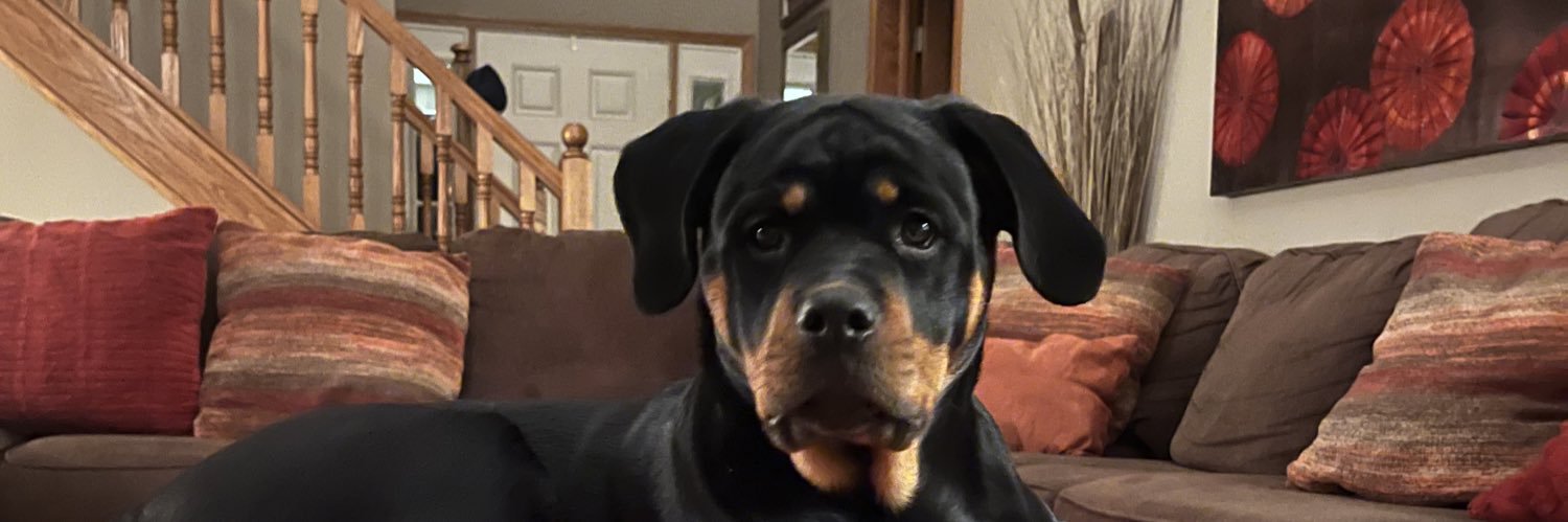 Chris Falkenstein banner