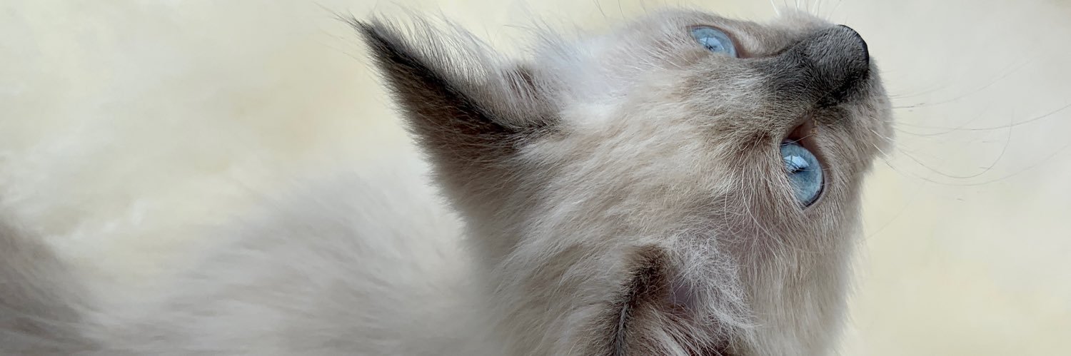 claudbartlett's profile banner image