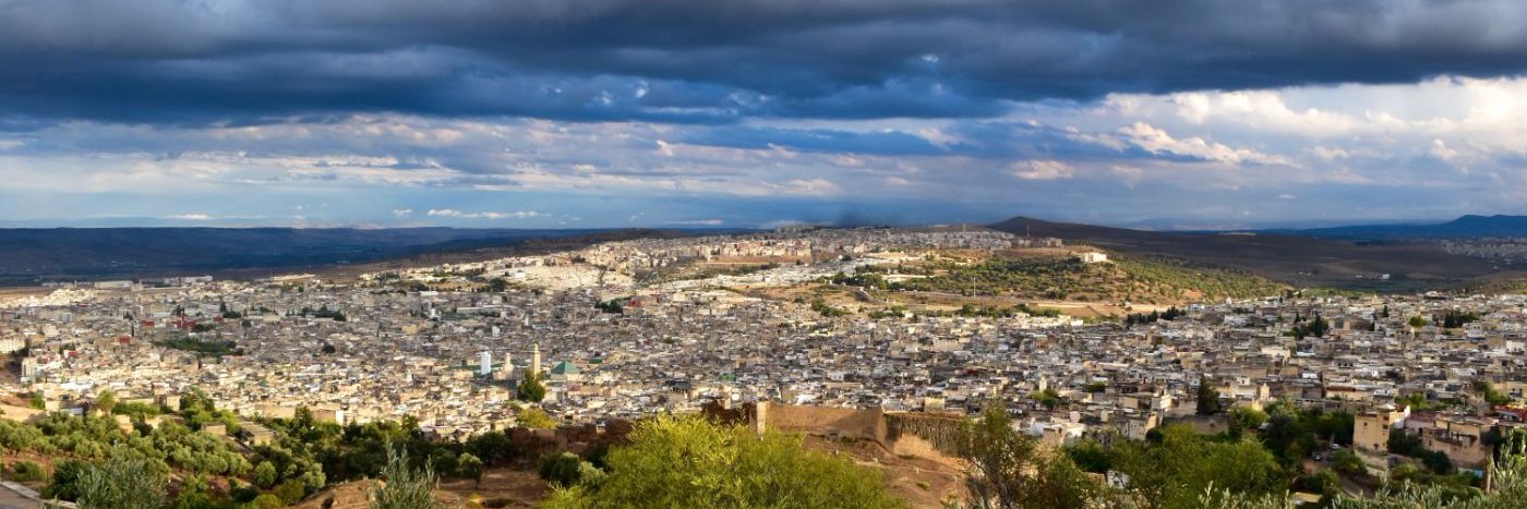 Erica Gendell banner