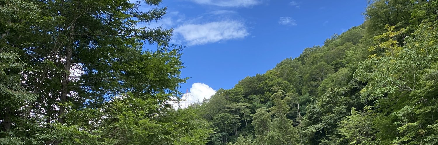 kobayu28's profile banner image