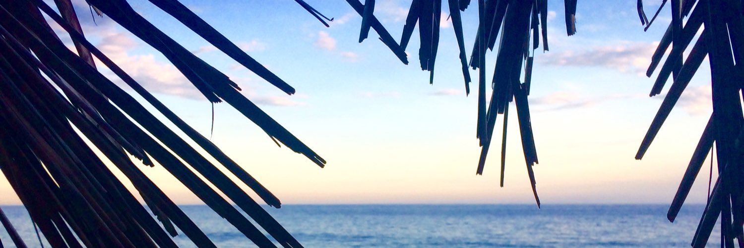 paielinhoj's profile banner image