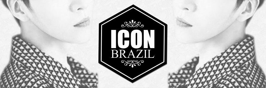 ICONBr. banner