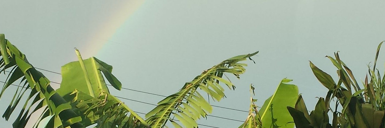 strawberryR1515's profile banner image