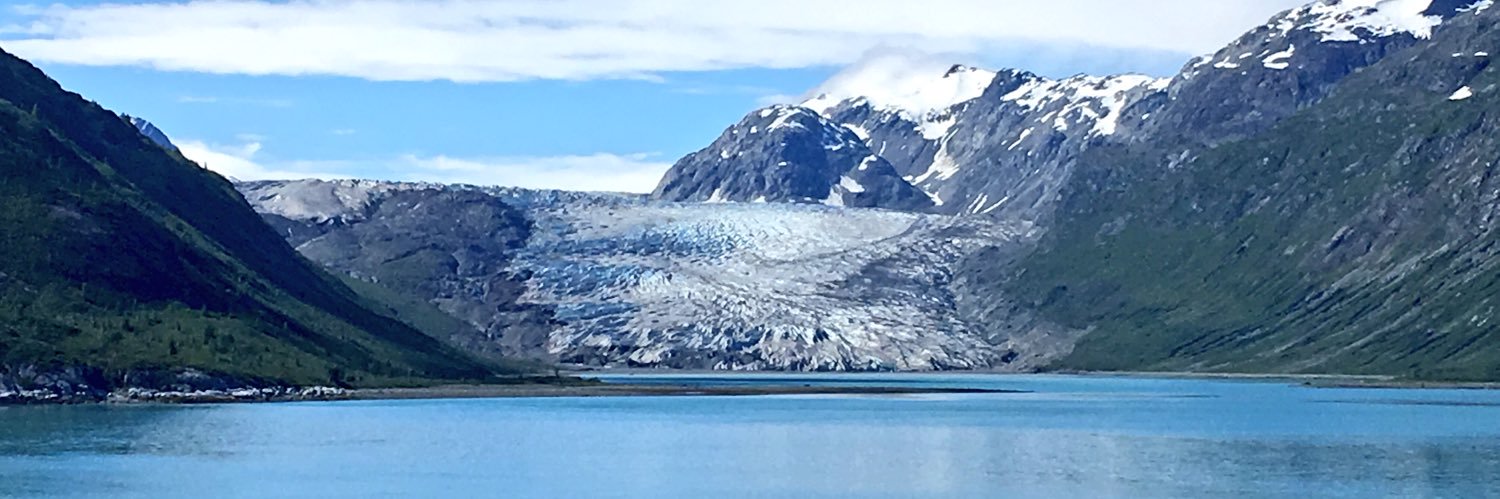 Robin Seifert banner