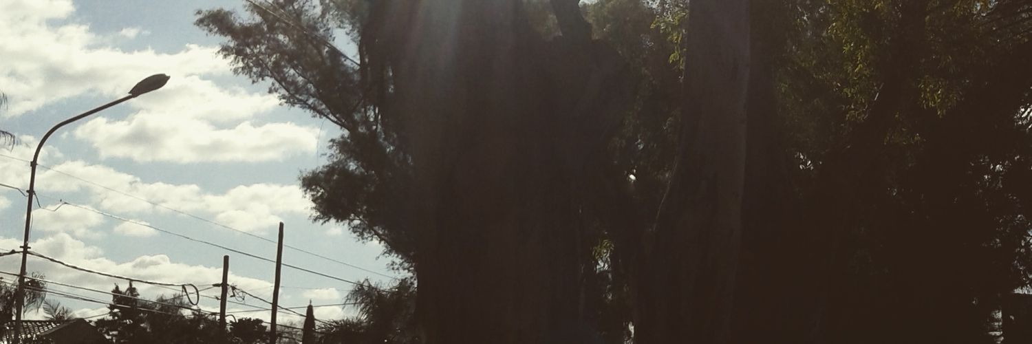 MayraGoce's profile banner image