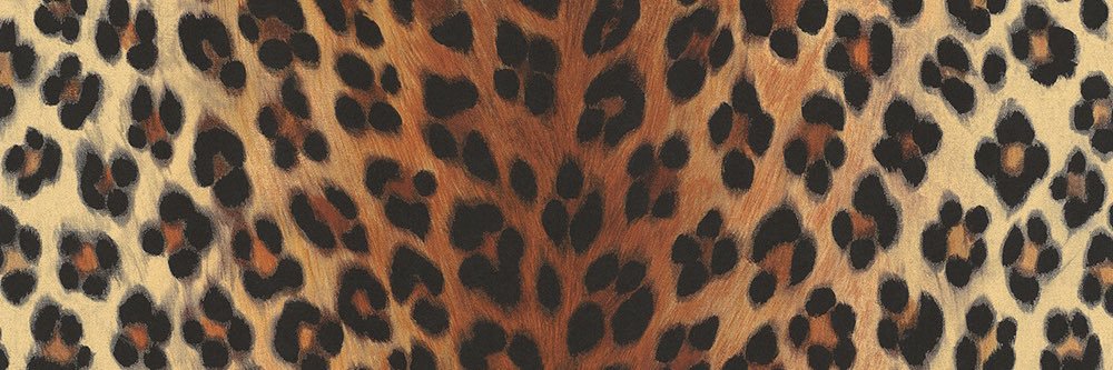maygkelly's profile banner image
