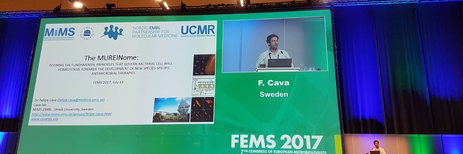 Felipecava.mims banner