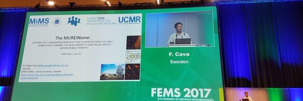 FelipecavaM Profile Banner