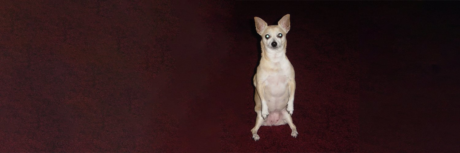 Justin Belcher banner