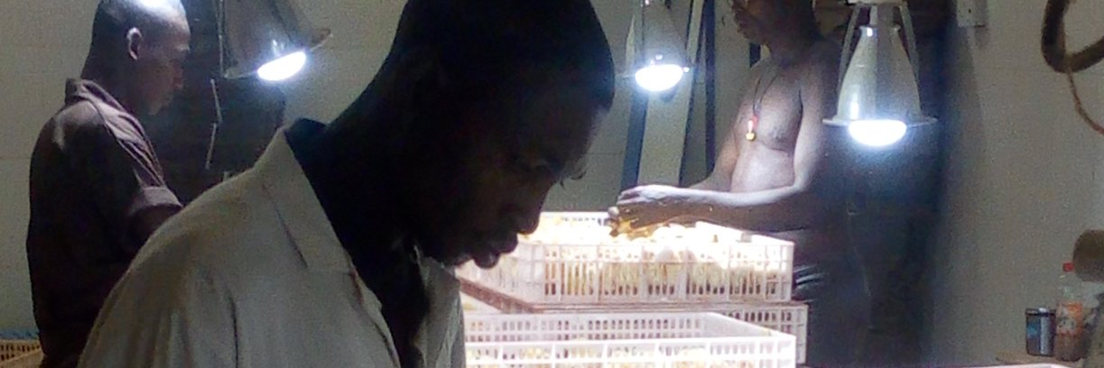 ArowoloBJ's profile banner image