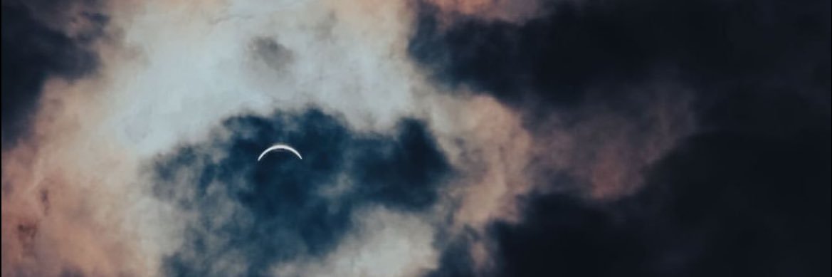 Michaela Burge banner