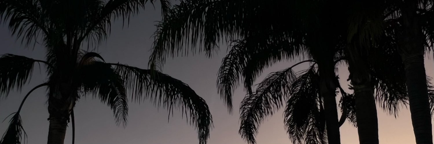 PauStefania's profile banner image