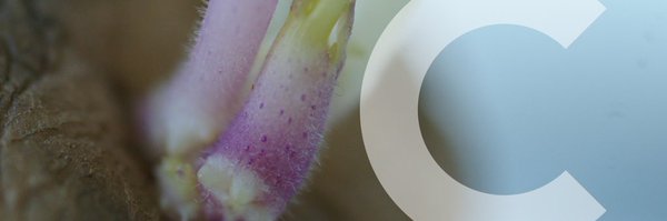 CranPostharvest Profile Banner