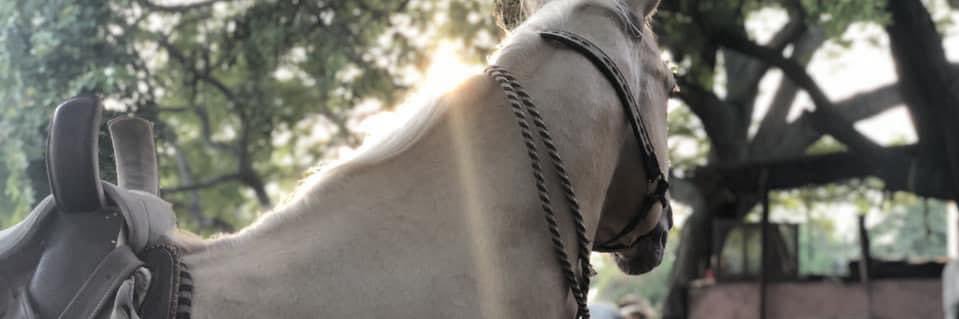ali🍒 banner