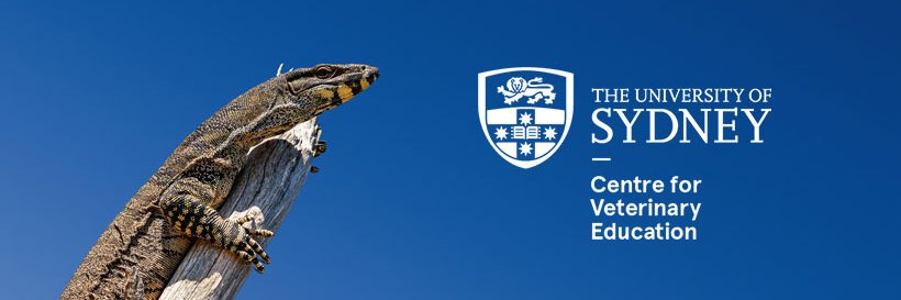 CVE_Sydney's profile banner image