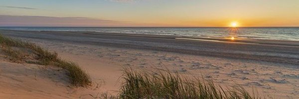 ChristinaHand9 Profile Banner